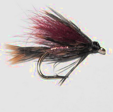���� ������ Wet fly 